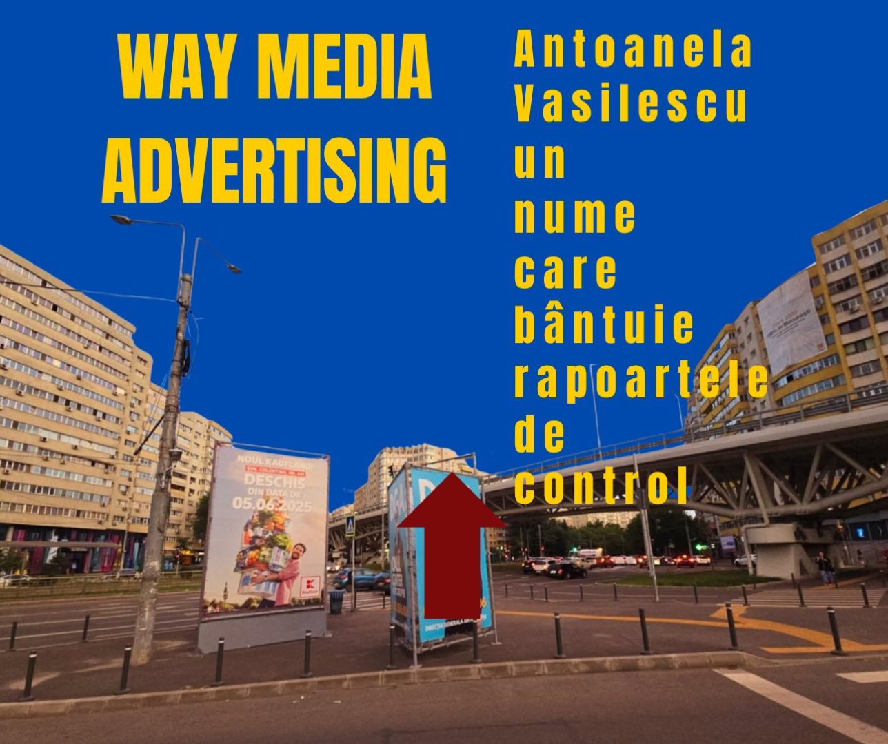 Way Advertise Production SRL: Antoanela Vasilescu și Controversele Publicității fără Avize și Plăților la Stat